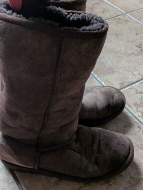 UGG Women's Dark Brown Tall Boots